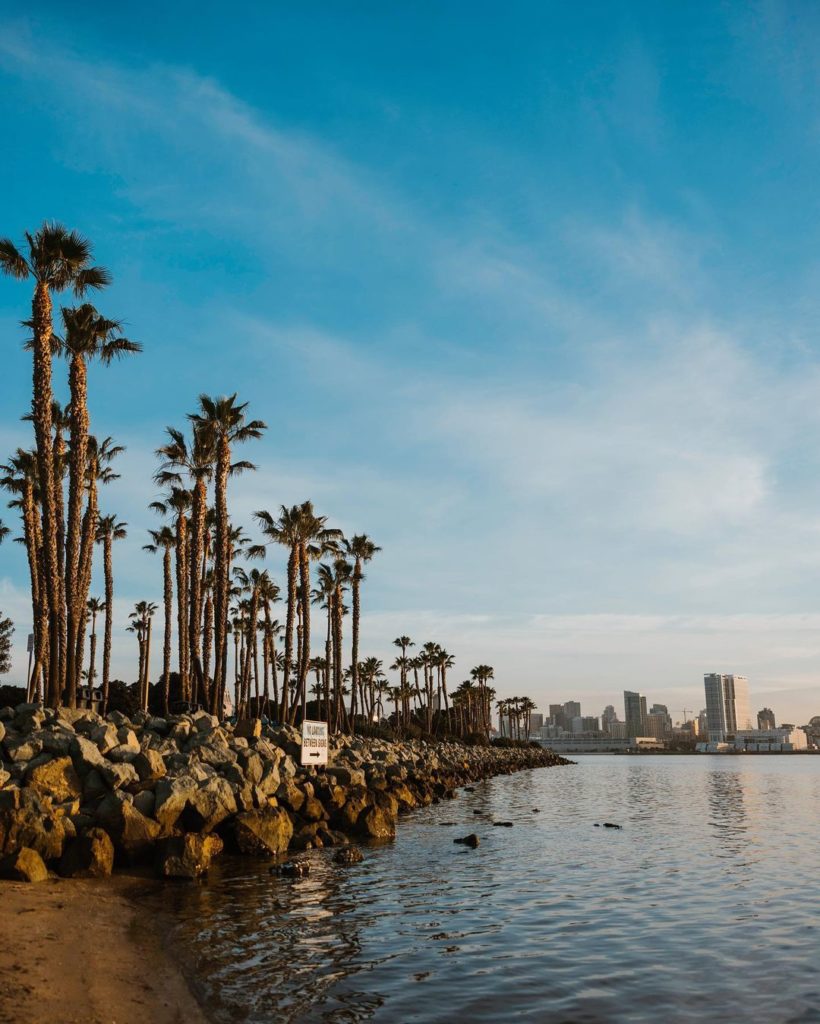View of Embarcadero Bay with lined palm trees and downtown skyline