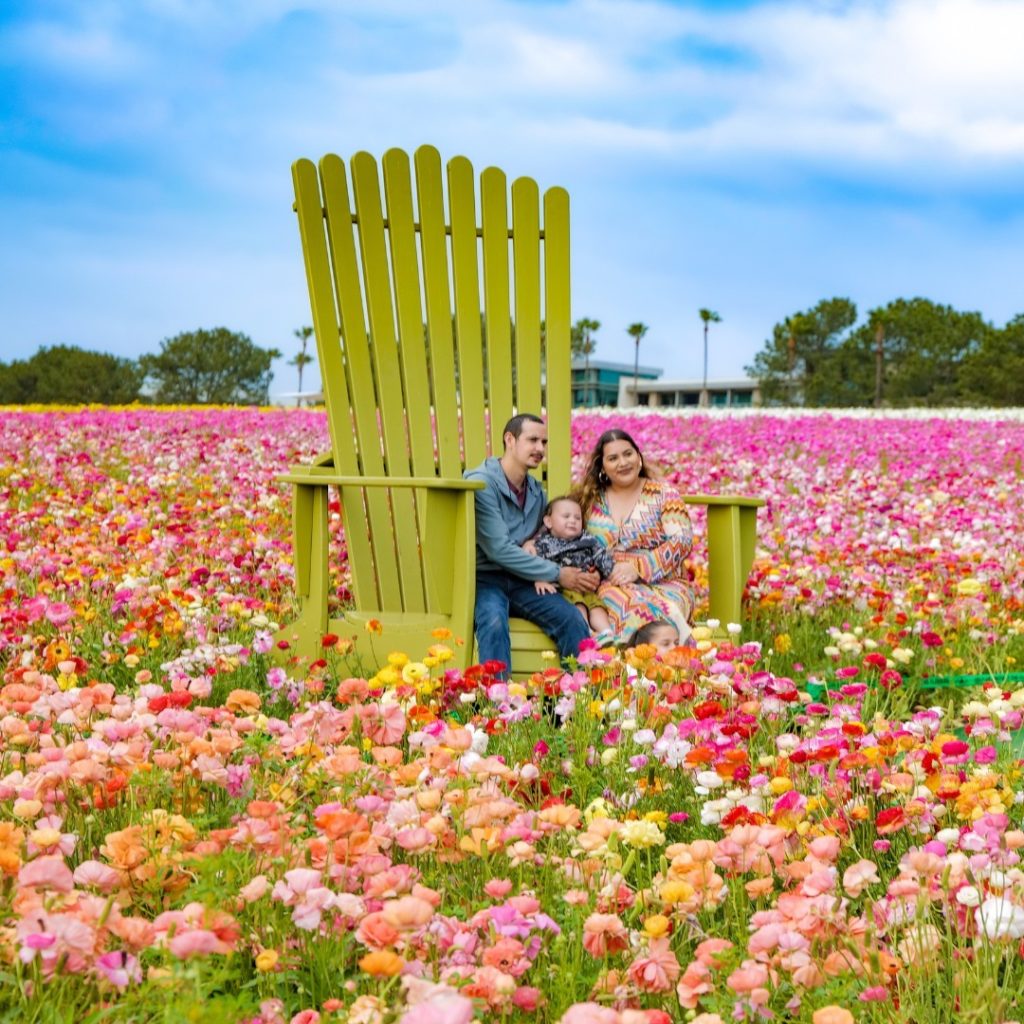 Family sitting on Chair at Flower Fields